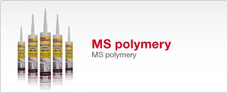 MS polymery